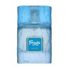 Freeze Extrait de Parfum 100ml Riiffs