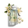 Reef Coral Bloom Perfume 100ml EDP Reef